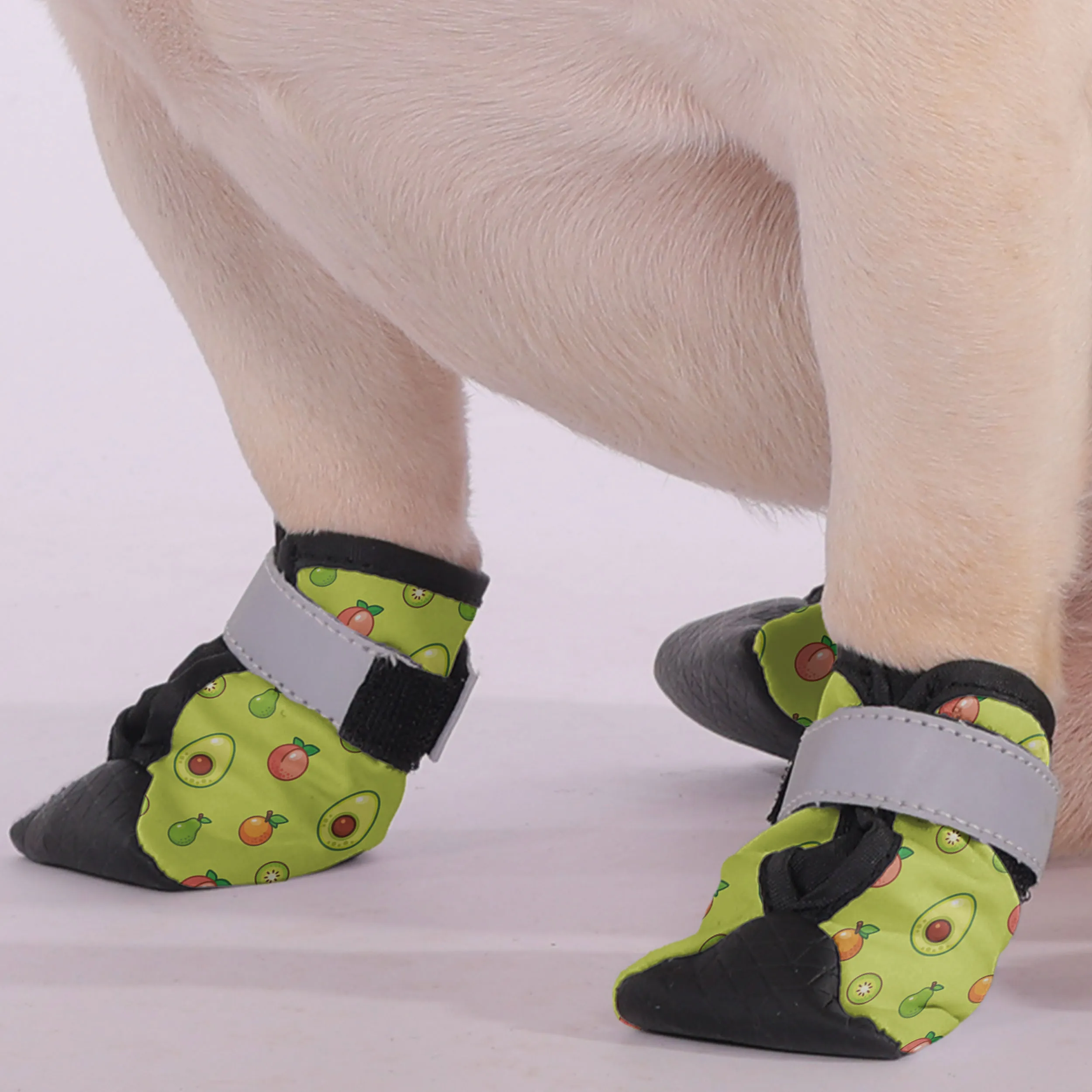 Axel - Premium Dog Socks & Boots for French Bulldogs