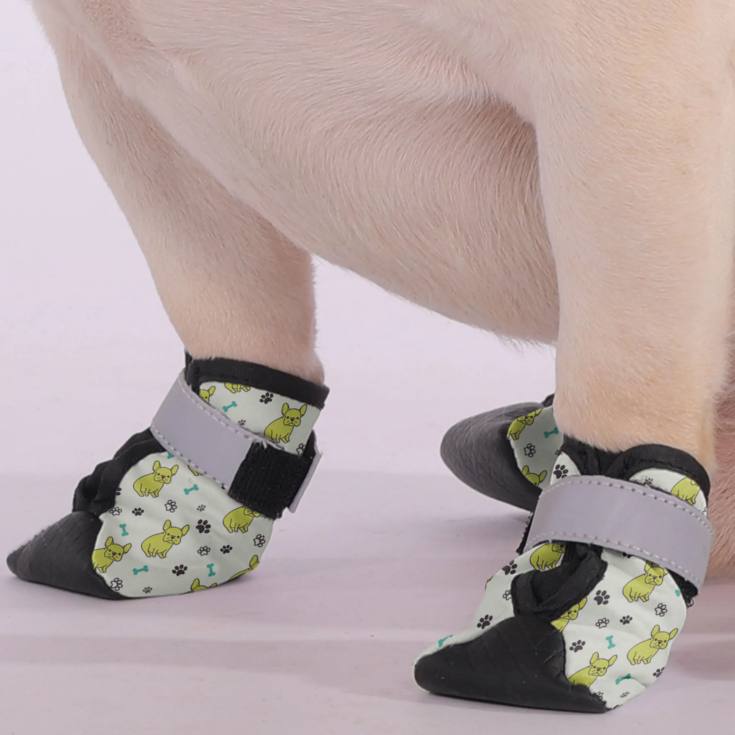 Bear - Premium Dog Socks & Boots for French Bulldogs