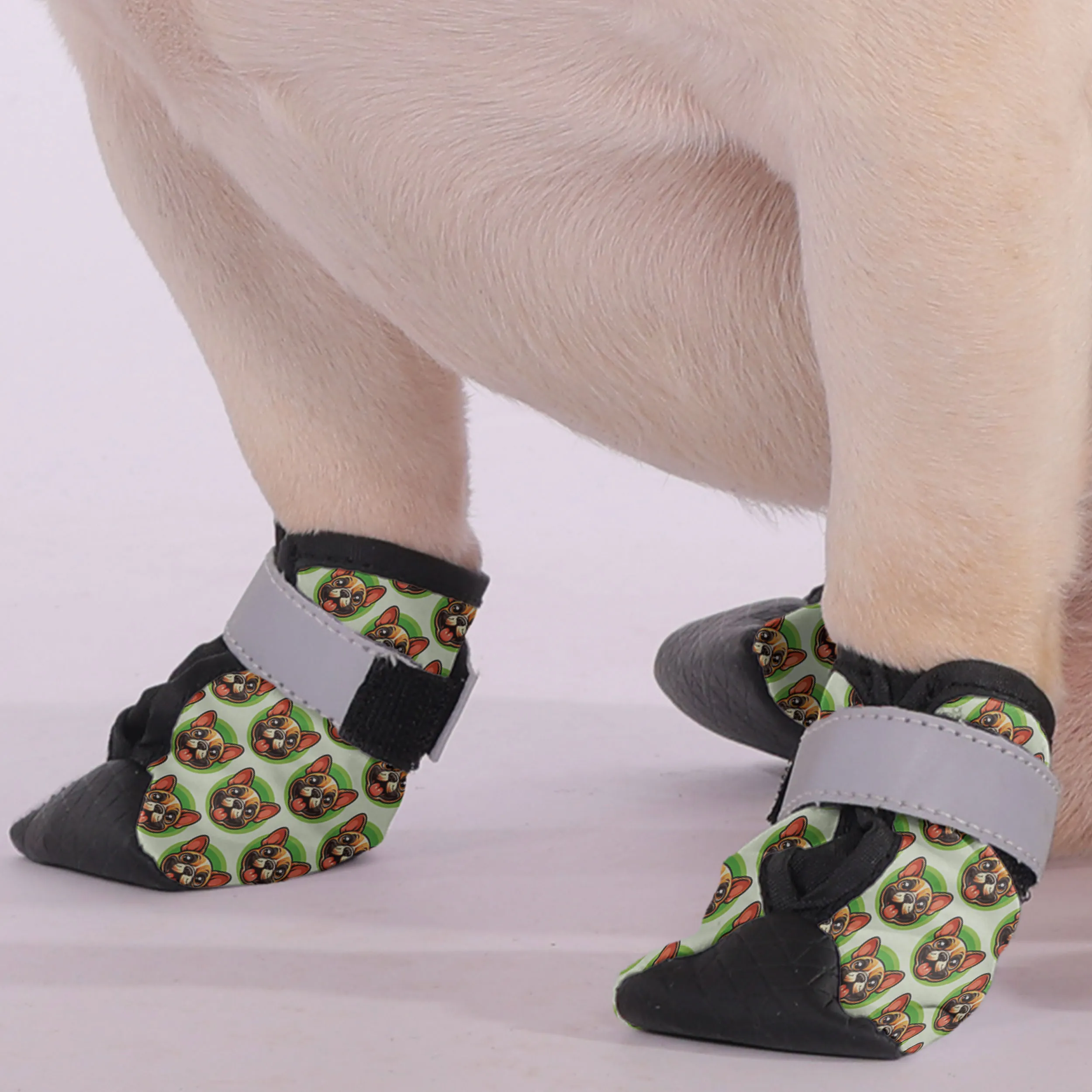 Bentley - Premium Dog Socks & Boots for French Bulldogs