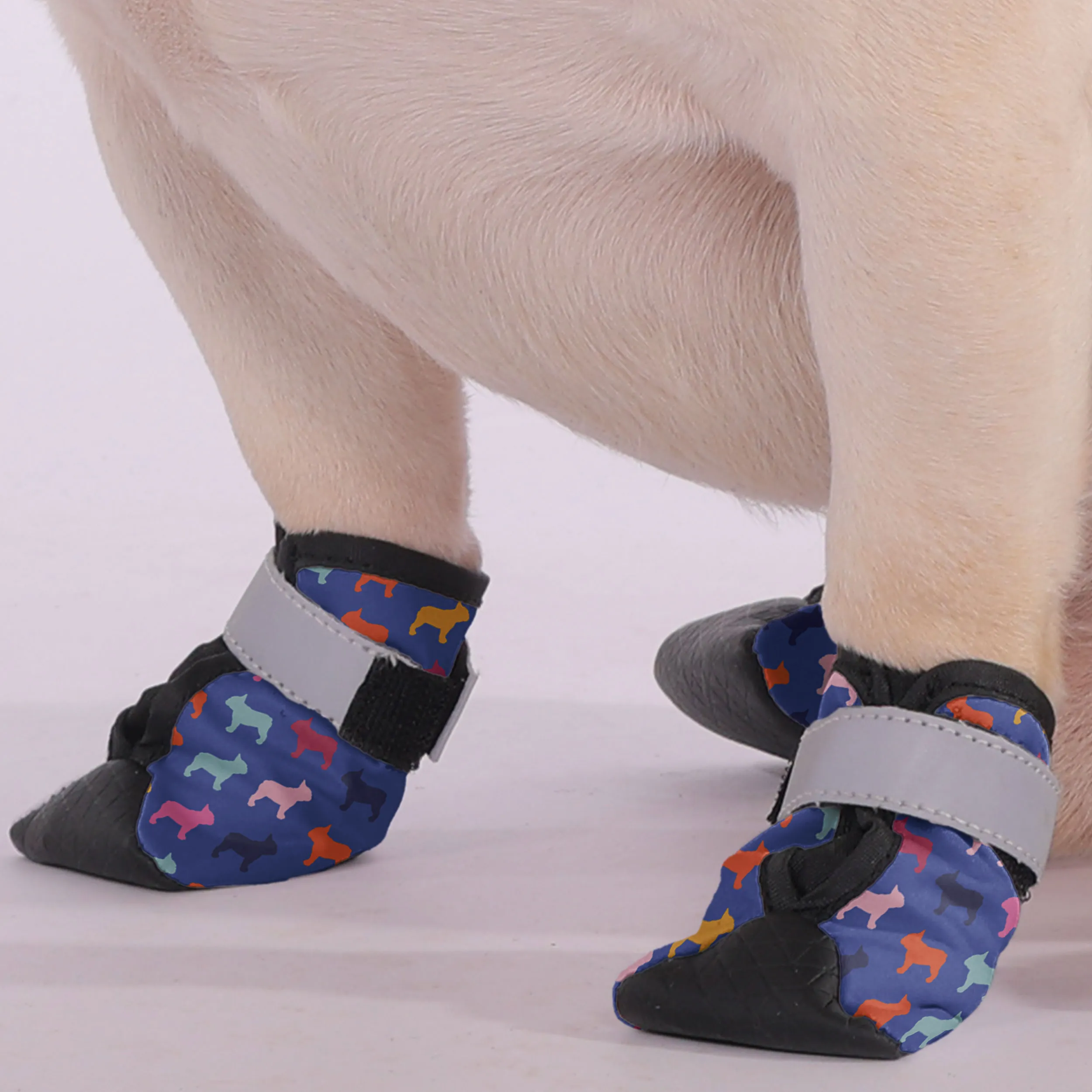 Dolly - Premium Dog Socks & Boots for French Bulldogs