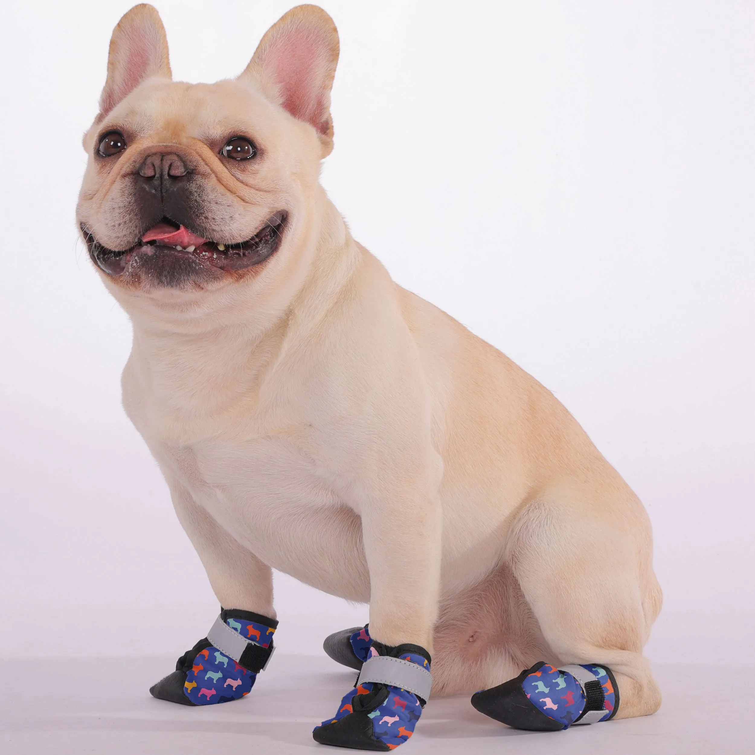 Dolly - Premium Dog Socks & Boots for French Bulldogs