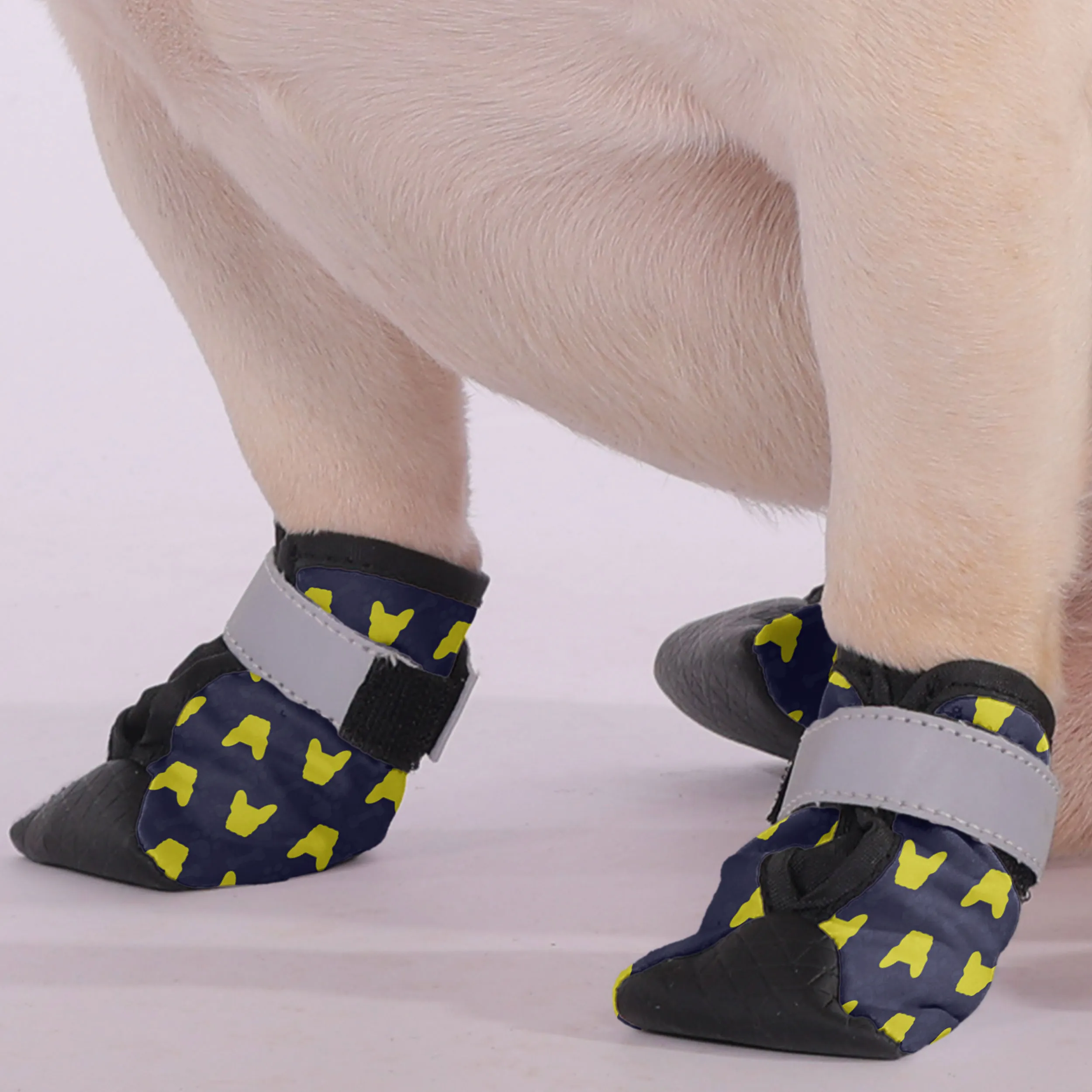 Fendi - Premium Dog Socks & Boots for French Bulldogs