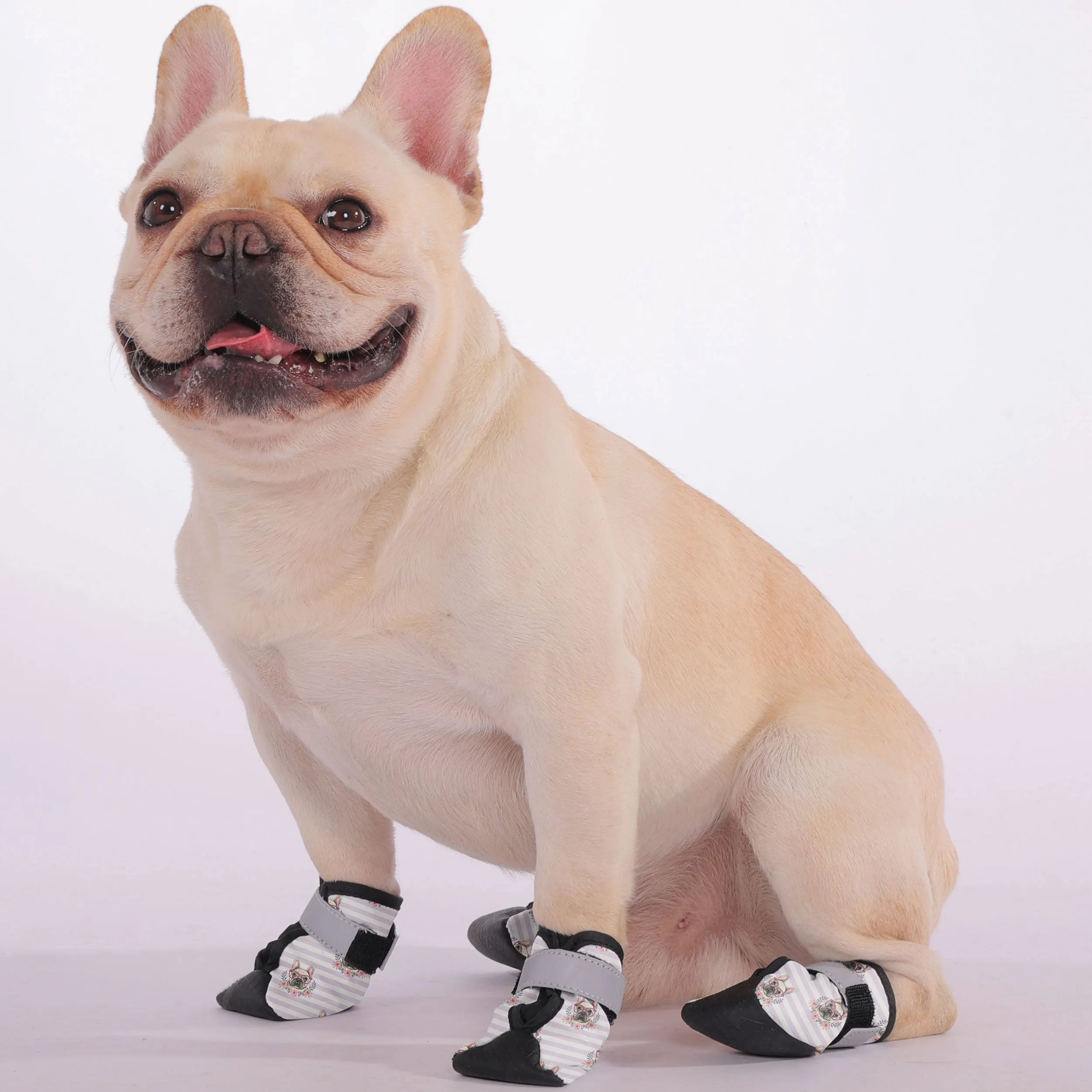 Jax - Premium Dog Socks & Boots for French Bulldogs
