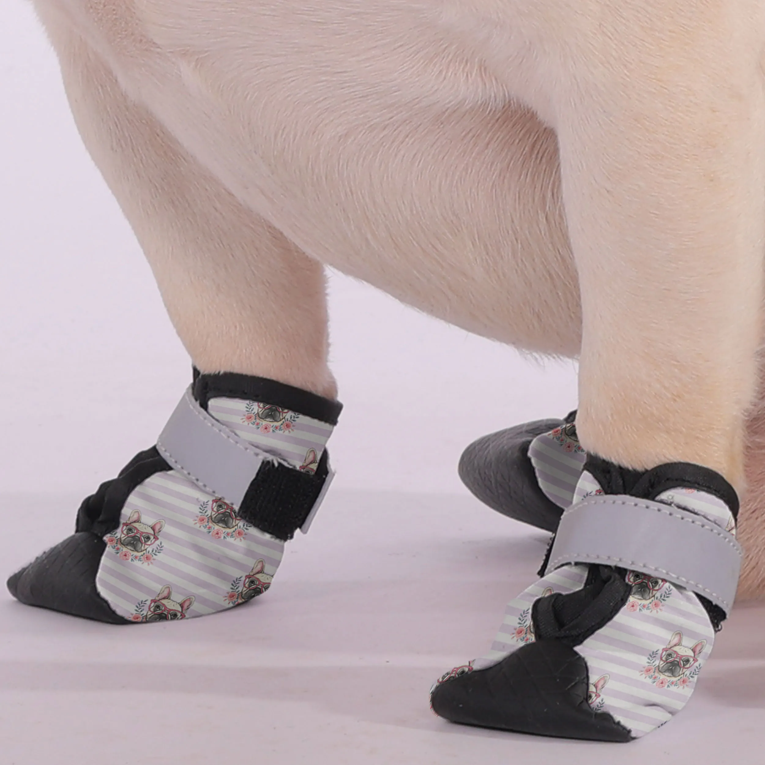 Jax - Premium Dog Socks & Boots for French Bulldogs