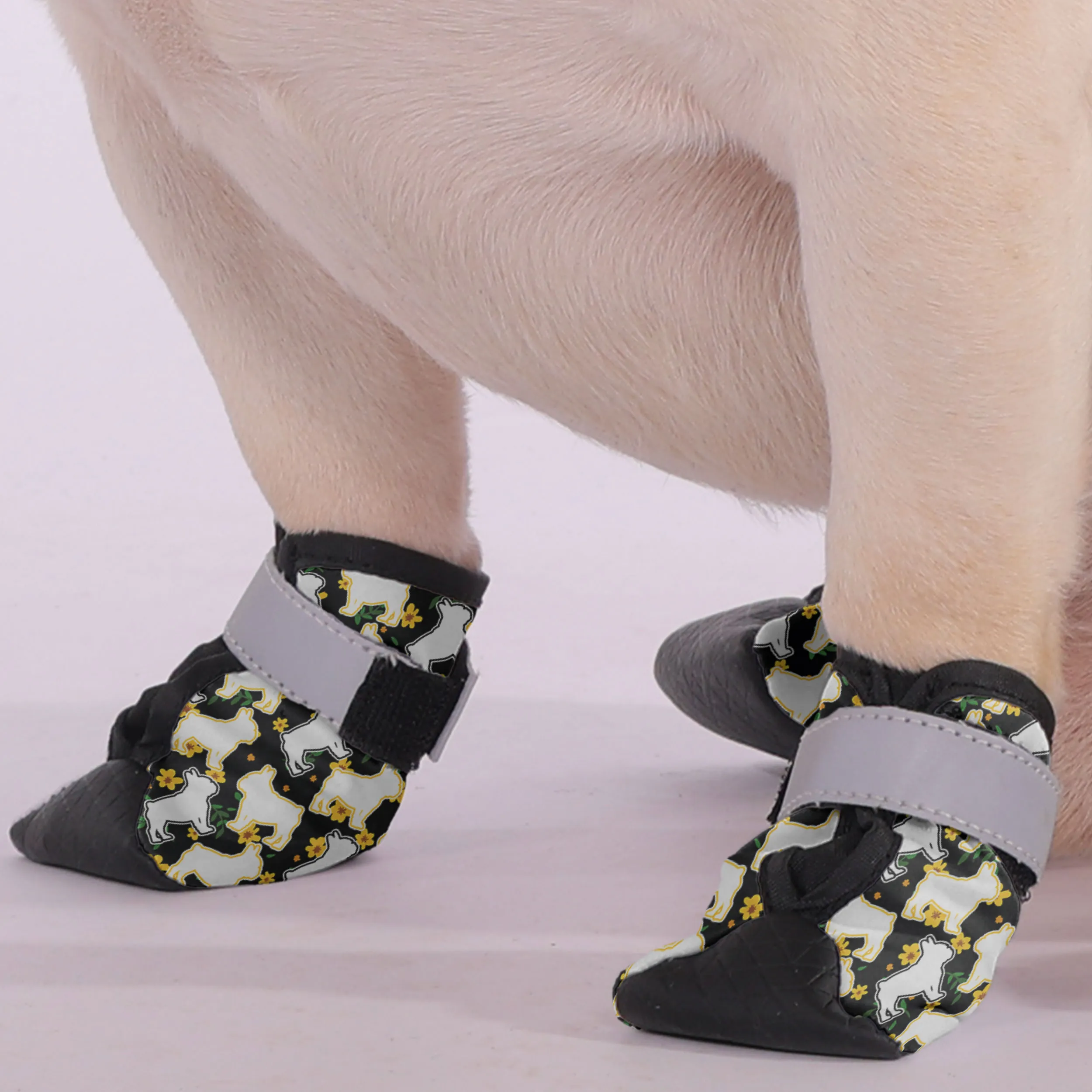 Kate - Premium Dog Socks & Boots for French Bulldogs