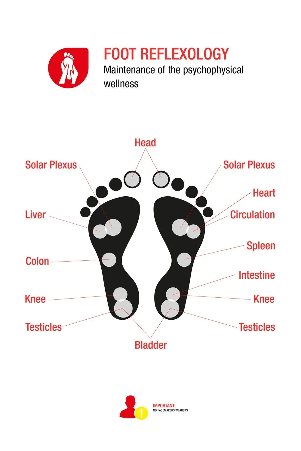 Magnetic Equitation Socks