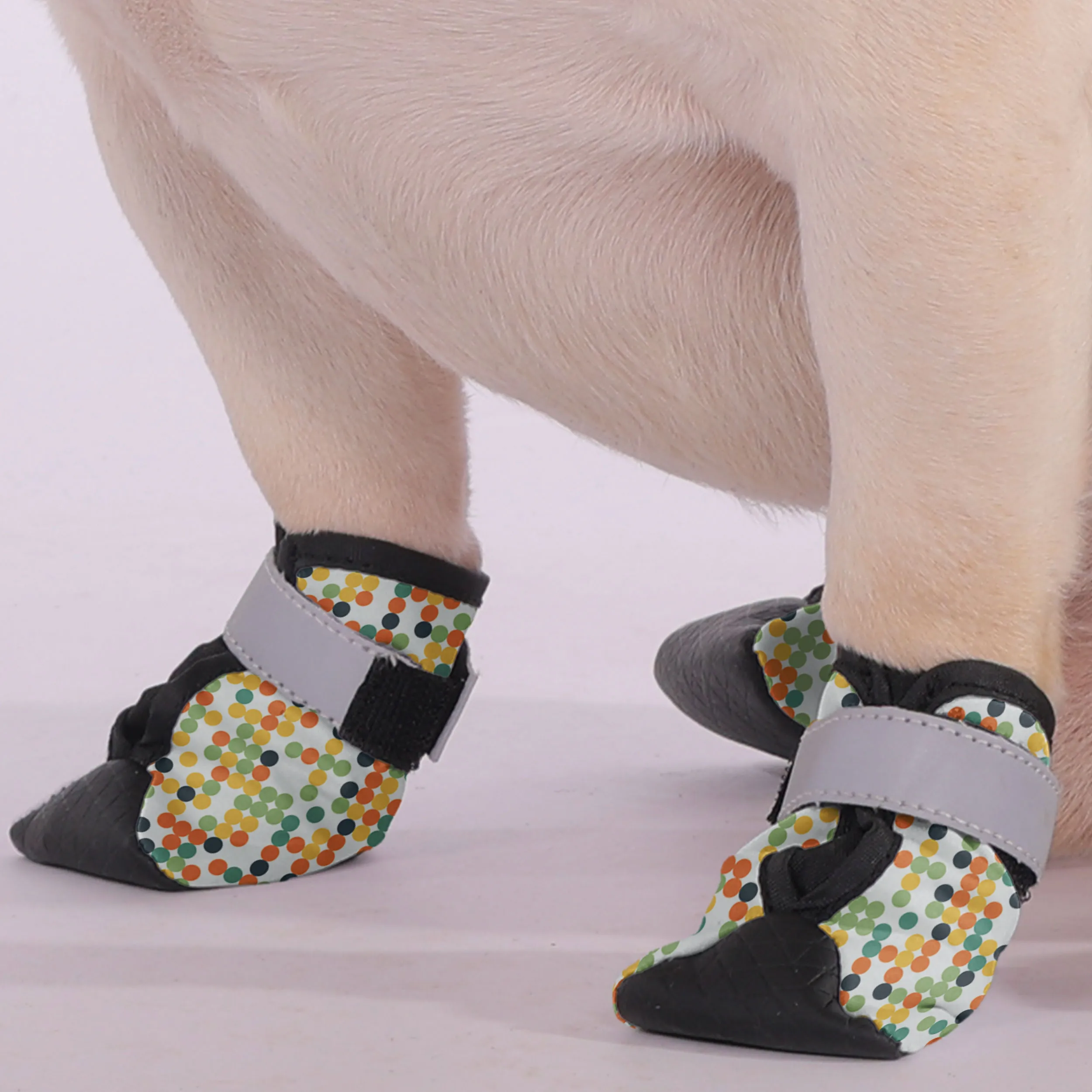 Maverick - Premium Dog Socks & Boots for French Bulldogs