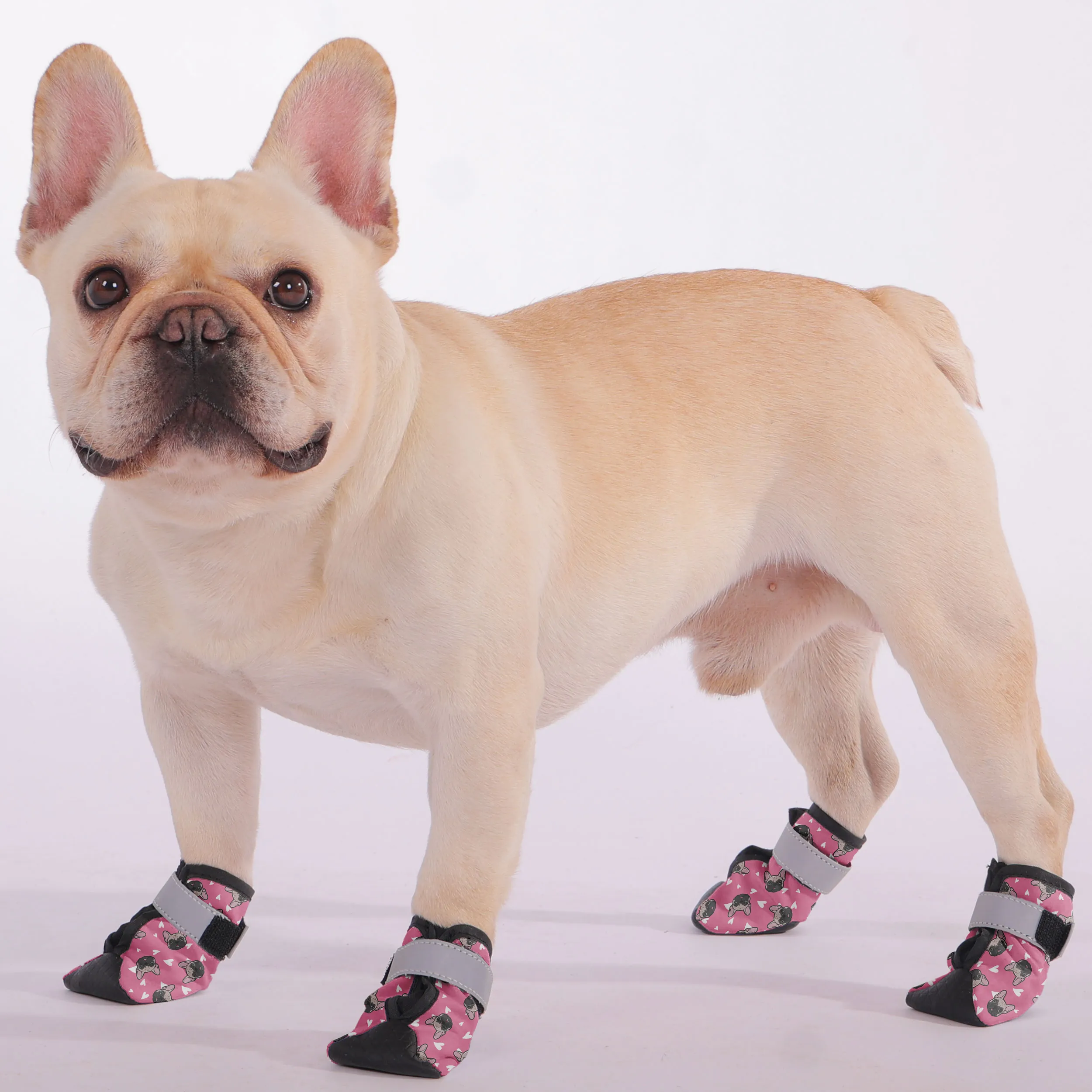 Mookie - Premium Dog Socks & Boots for French Bulldogs