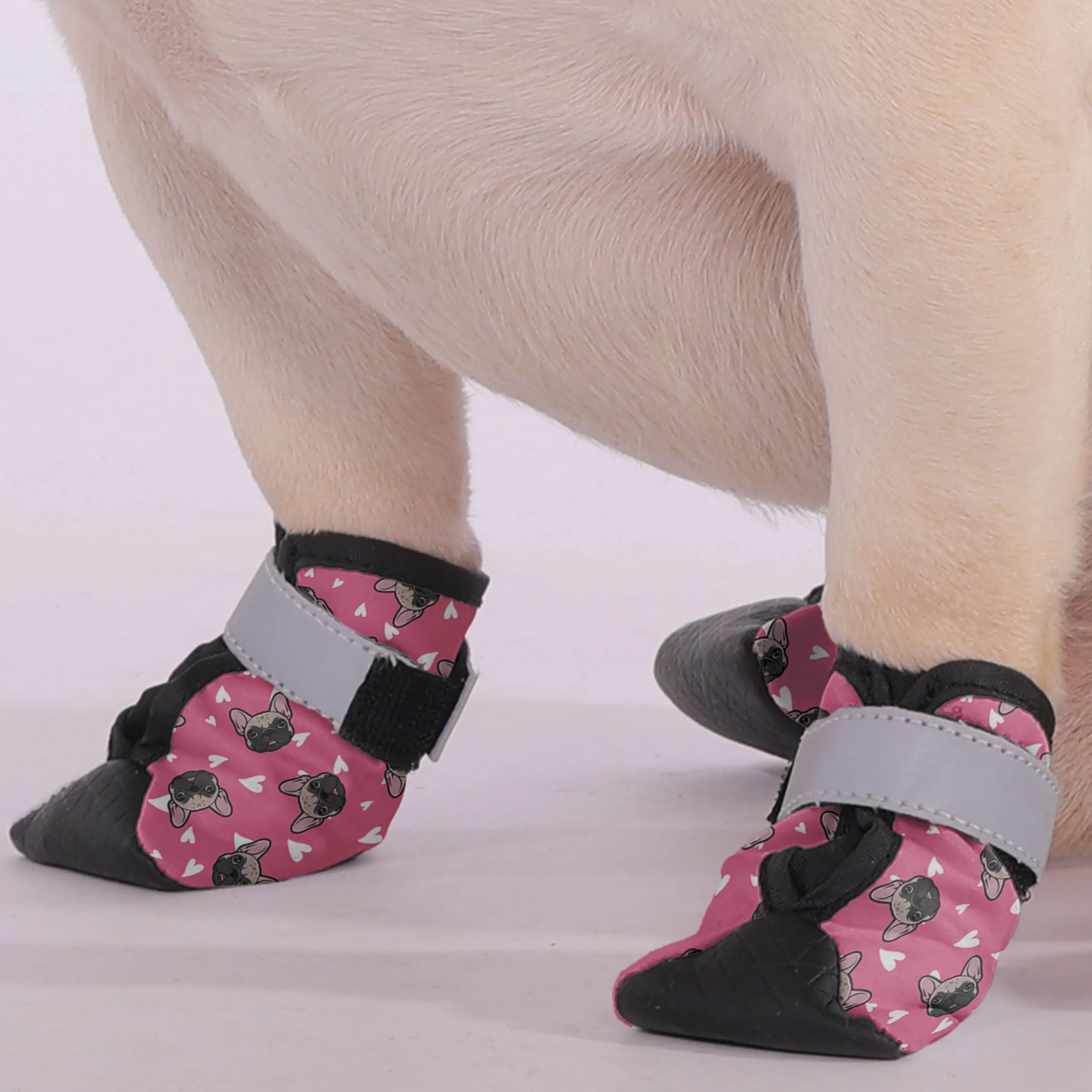 Mookie - Premium Dog Socks & Boots for French Bulldogs