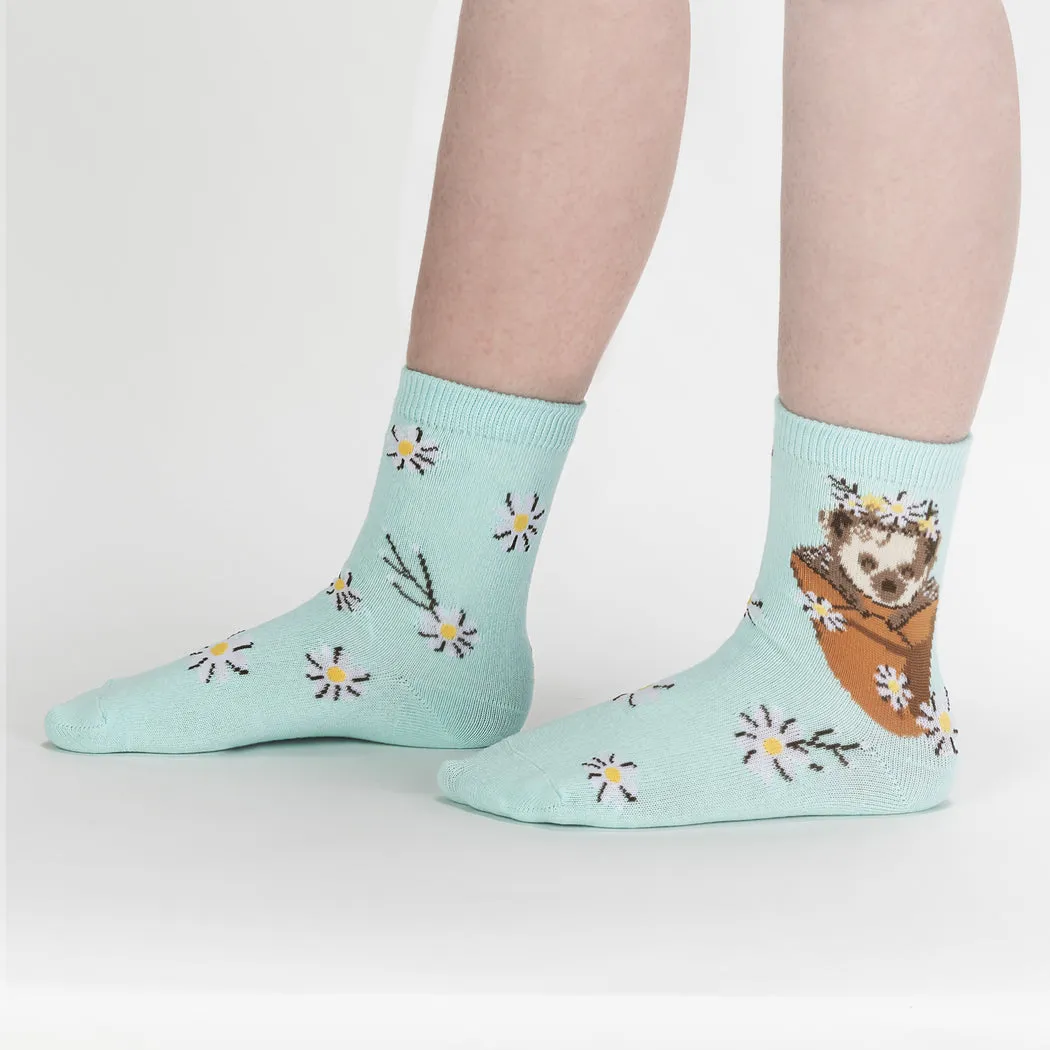 My Dear Hedgehog Kids Crew Socks - 3 Pack