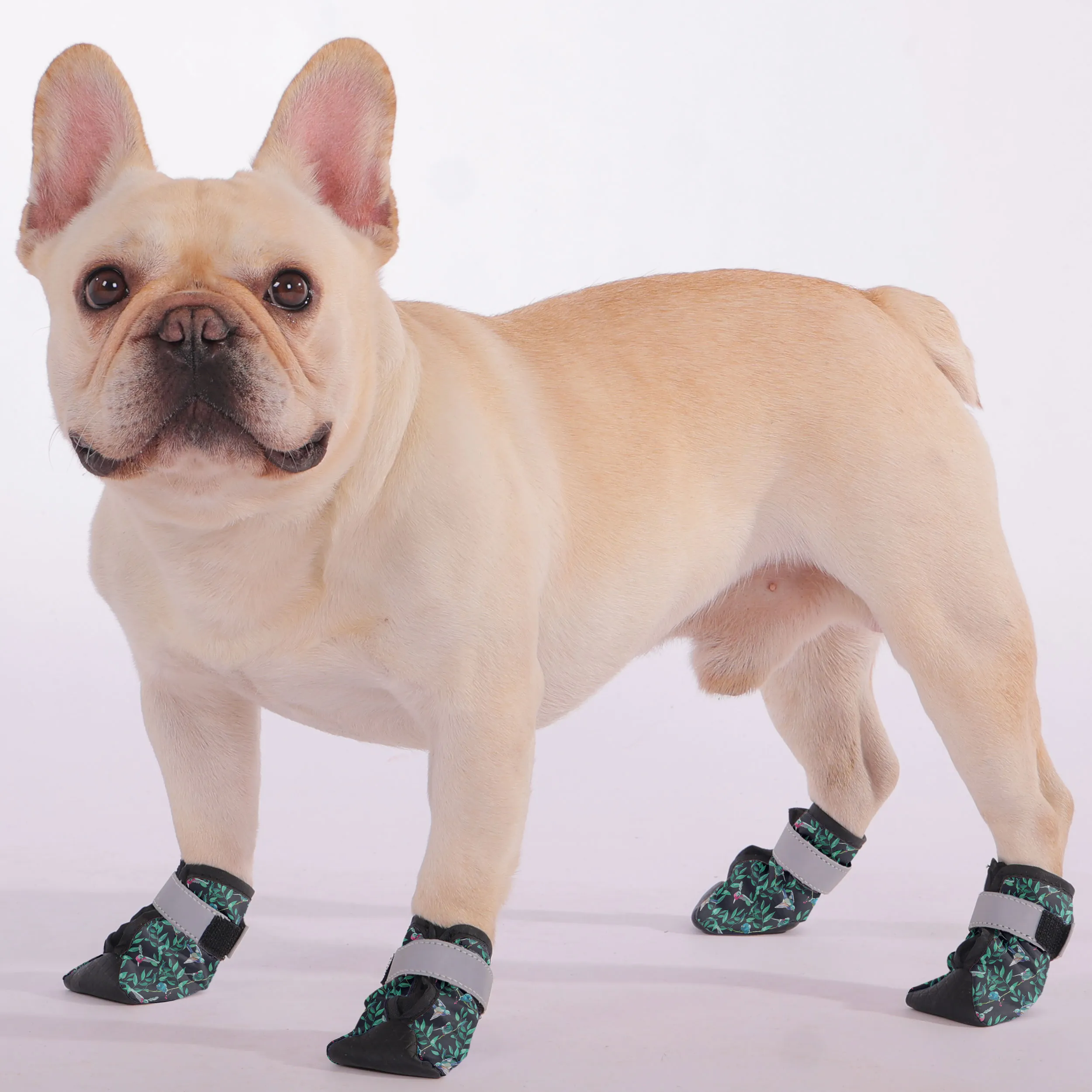 Neville - Premium Dog Socks & Boots for French Bulldogs