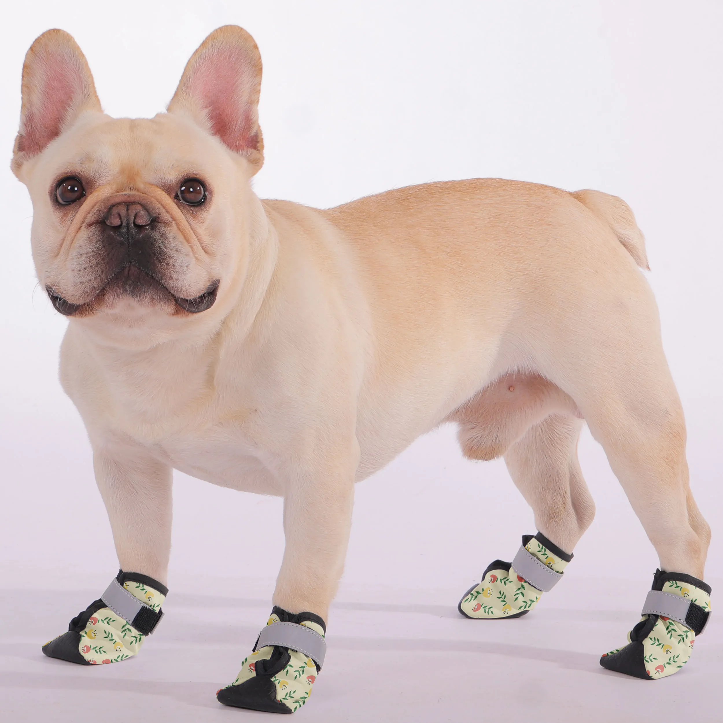 Oreo - Premium Dog Socks & Boots for French Bulldogs