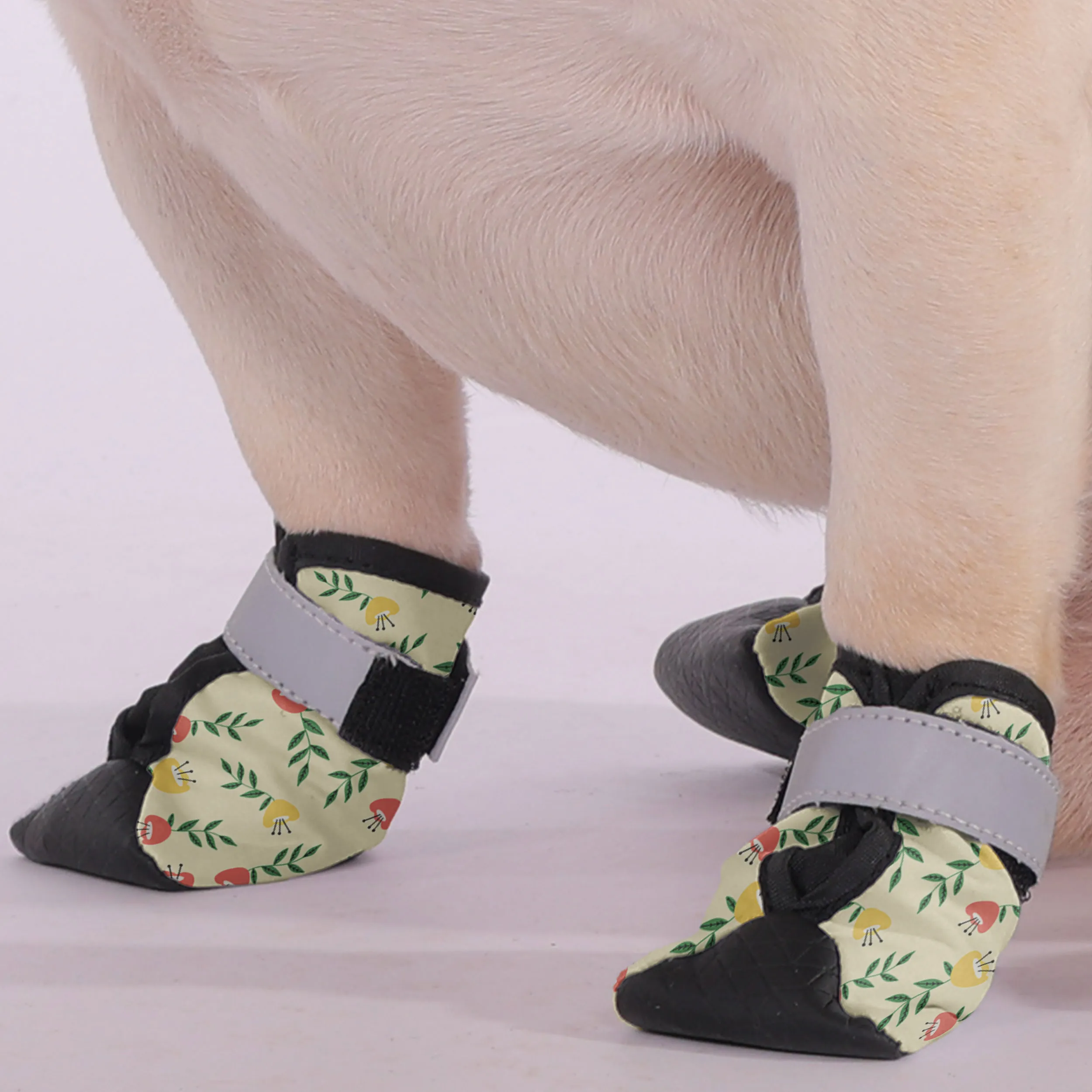 Oreo - Premium Dog Socks & Boots for French Bulldogs