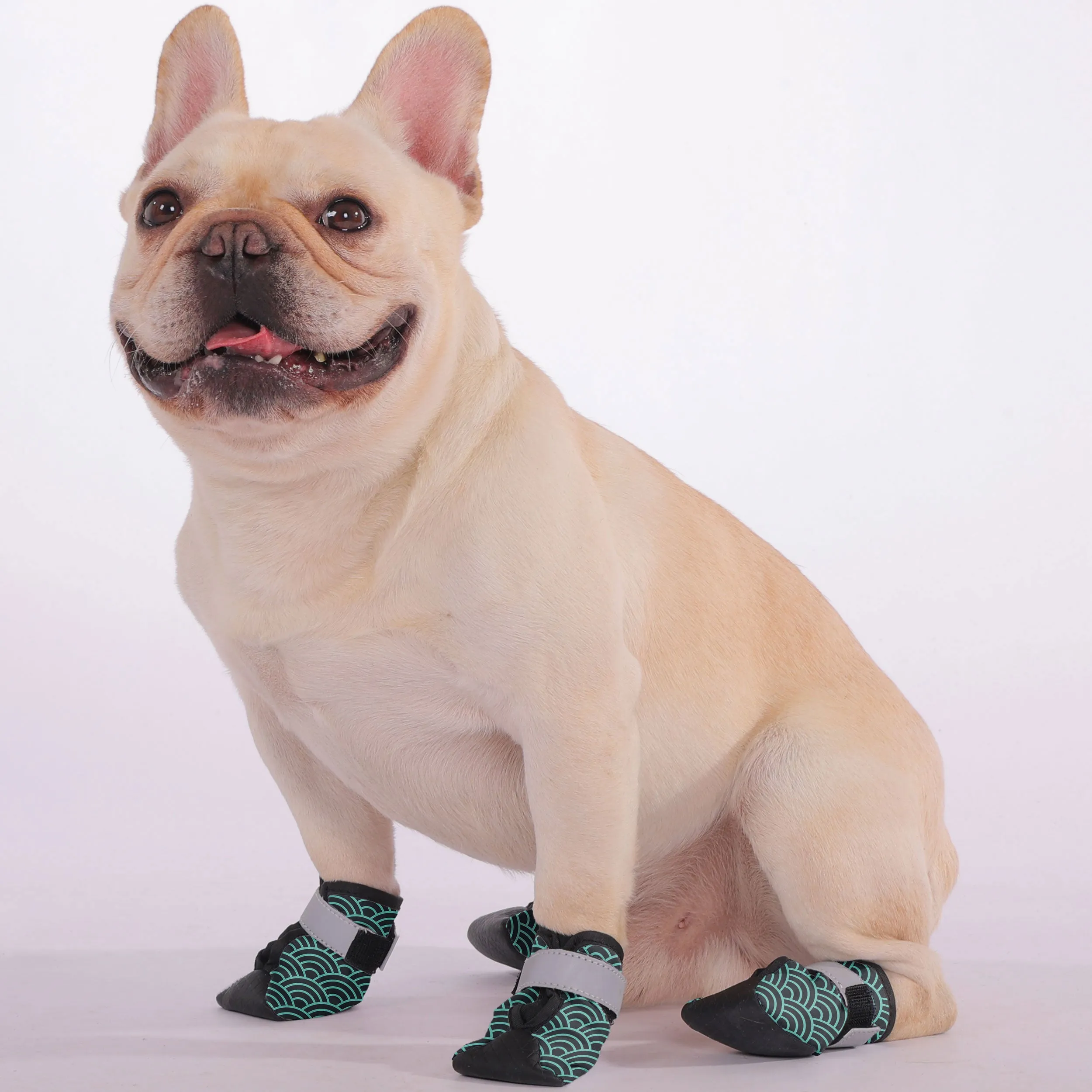 Skip - Premium Dog Socks & Boots for French Bulldogs