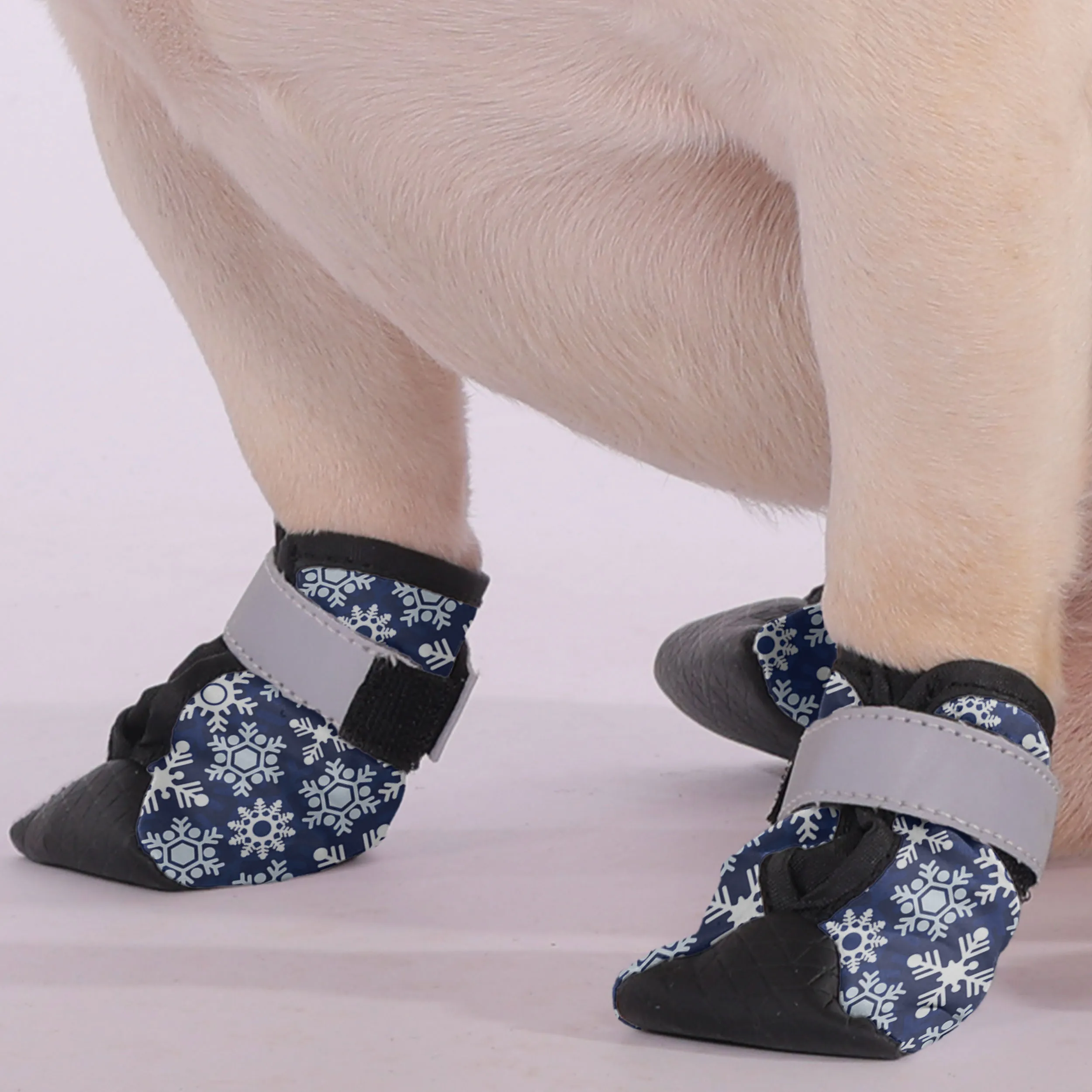 Theo - Premium Dog Socks & Boots for French Bulldogs