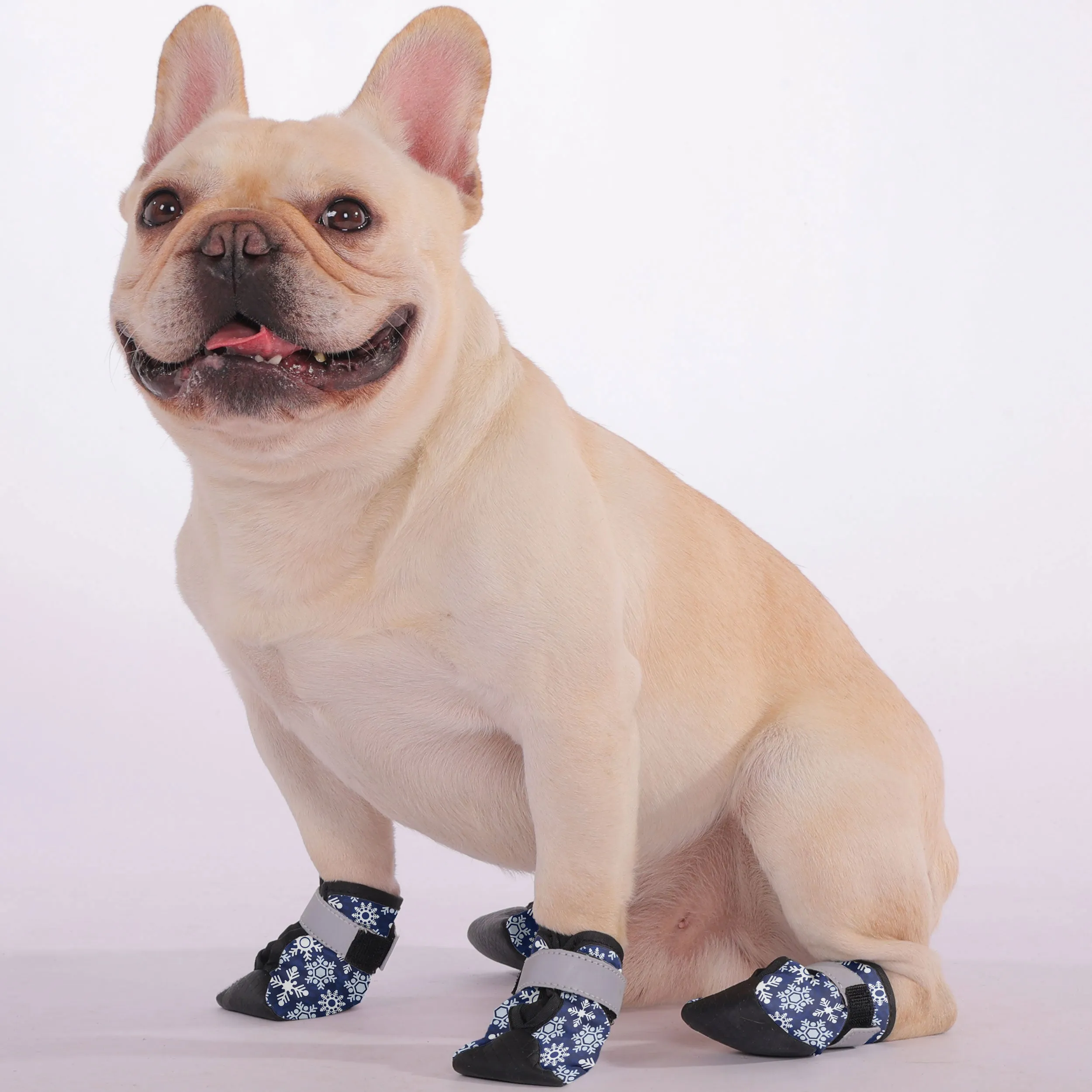 Theo - Premium Dog Socks & Boots for French Bulldogs