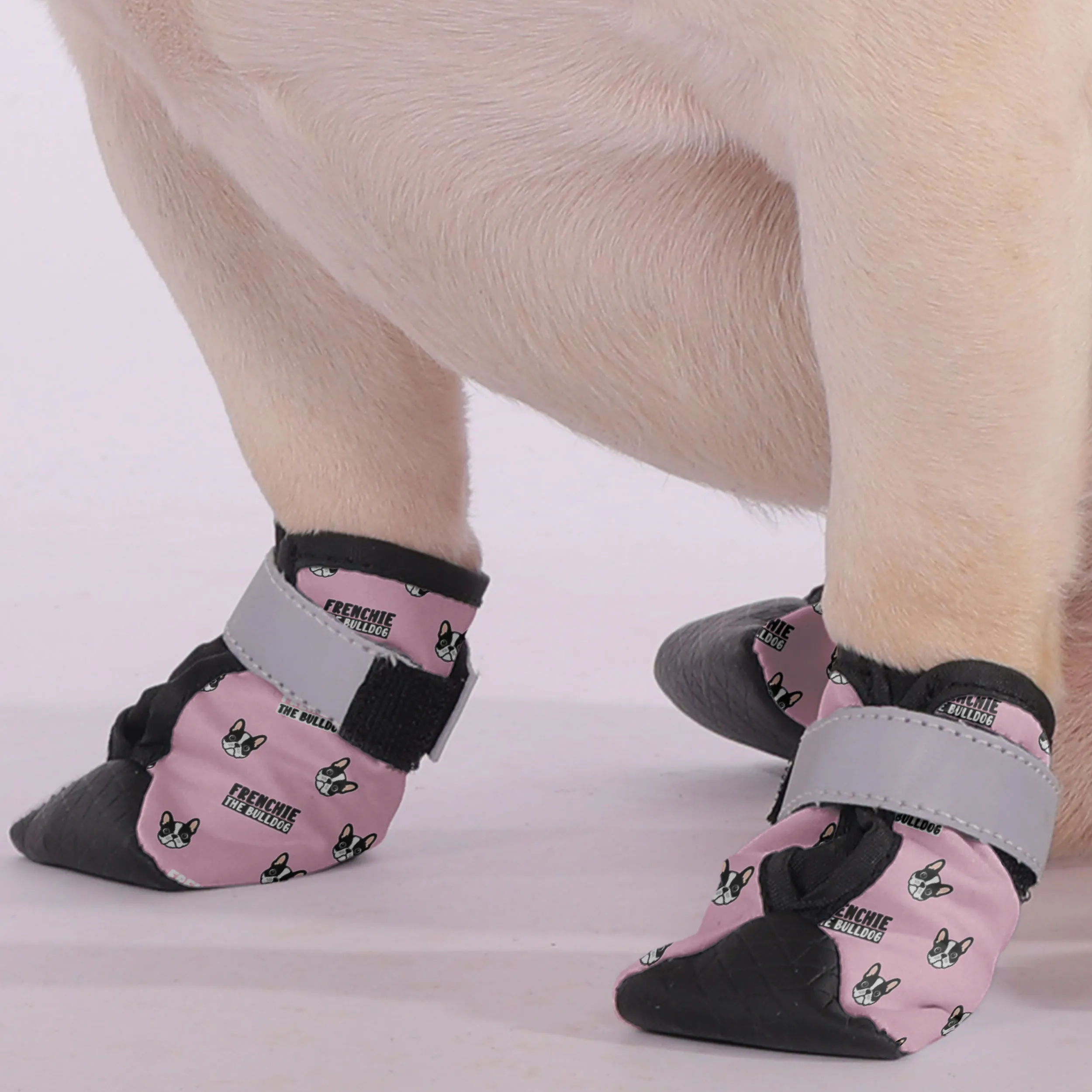 Walter - Premium Dog Socks & Boots for French Bulldogs